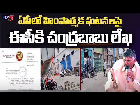 ఏపీలో హింసాత్మక ఘటనలపై.. TDP Leader Nara Chandrababu Naidu | AP Election Polling | TV5 News - TV5NEWS