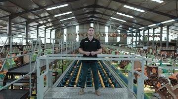 Systeco Automation | Revolutionizing Citrus Handling:Unveiling the Automated Packhouse | Walkthrough