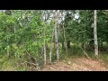 Mulch Property for Winter Activities | Property Access