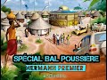 MIX BAL POUSSIERE 2022 HERMANN PREMIER 0748018810