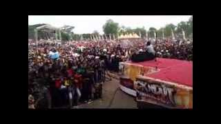 HALTIO   Yang Cover of Wali