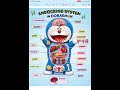 Endocrine | HORMONES |  #biology #csirnet #chemistry #neet #gate #science #easylearning #lifescience
