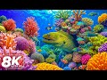 Aquarium 8K Ultra HD – Calm Fish Swimming and Soothing Meditation Music