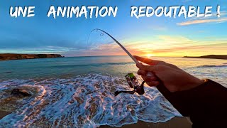 A must-know animation featuring this formidable fishing technique! (Tutorial)