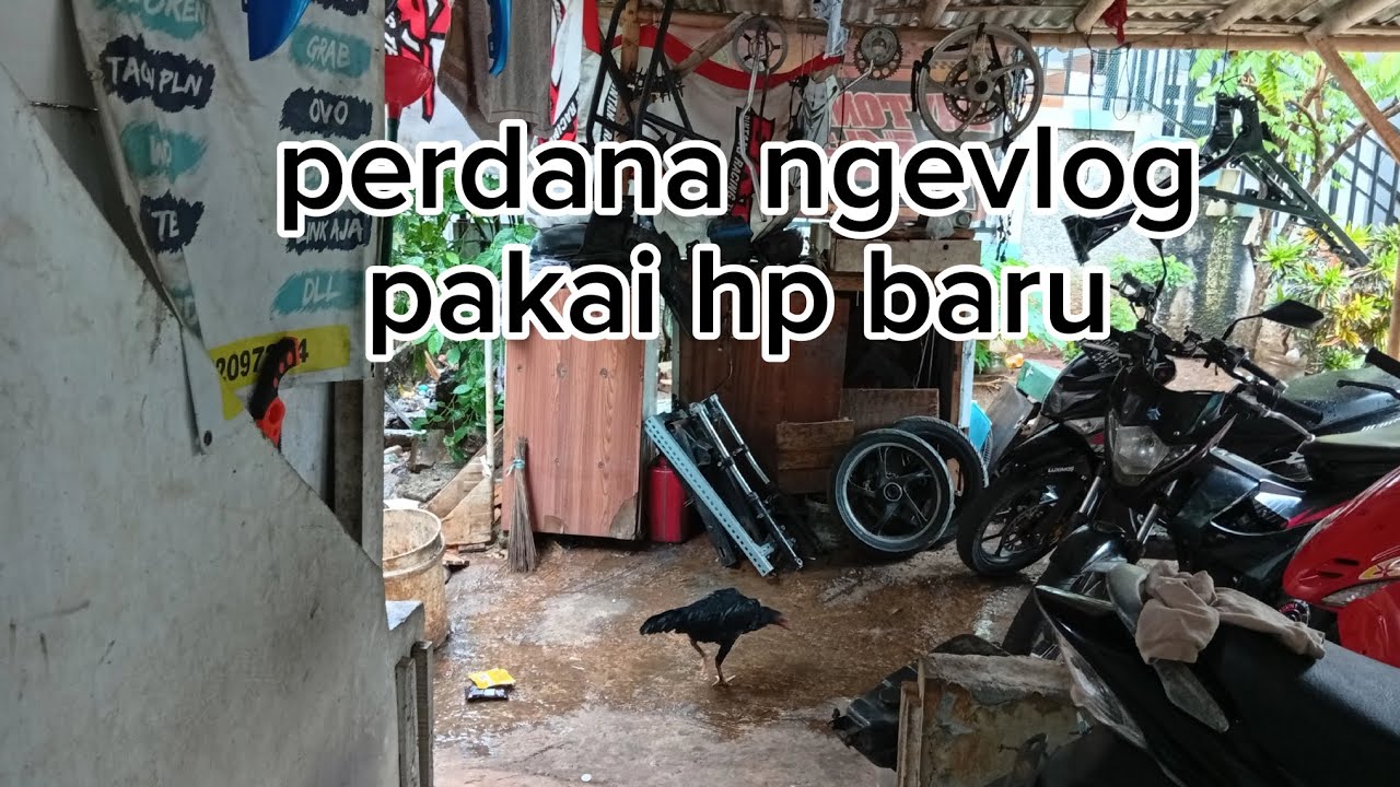 Kehidupan irt di kontrakan,aktivitasku di hari libur