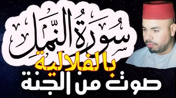 بالفلالية سورة النمل كاملة 💙