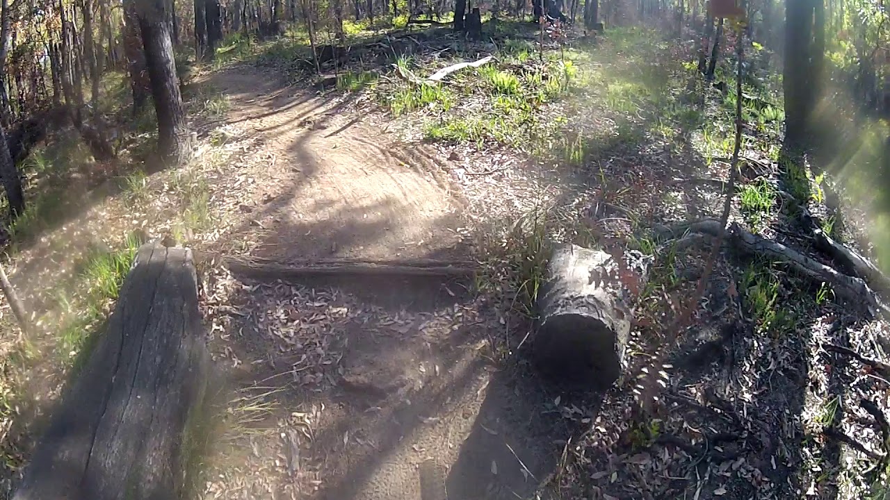 MTB - Goldilocks, 3 bears start of 3 shovels