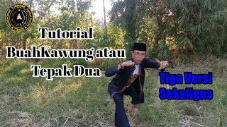 Tutorial BuahKawung 3 Versi Sekaligus || Abah Ma'Mun