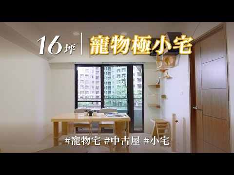 16坪更要寵毛孩?! 跳台動線+防墜巧思,貓咪寵愛無上限!中古屋神改造,系統櫃收納狂勝活動櫃!