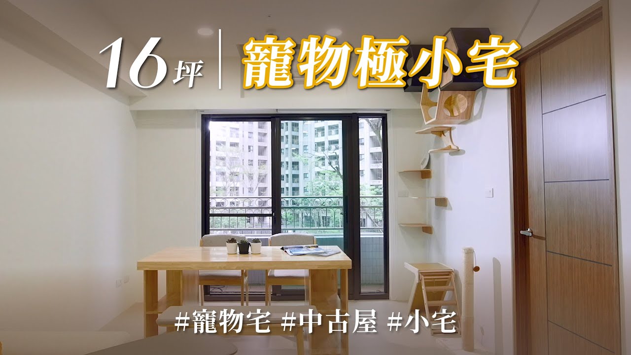 16坪更要寵毛孩？！ 跳台動線＋防墜巧思，貓咪寵愛無上限！中古屋神改造，系統櫃收納狂勝活動櫃！｜迪品空間設計-施佩縈｜@gorgeousspace