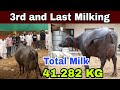 Live Final Milking at Saraswati Dairy Farm || Pavitar Singh Gill ||   World Champion Saraswati