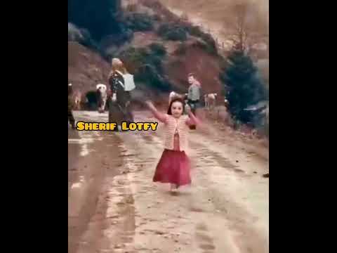 موسيقى عمر خورشيد
