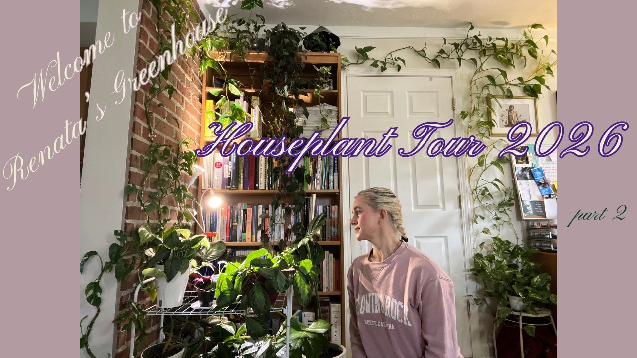 Houseplant Tour 2026 | part 2