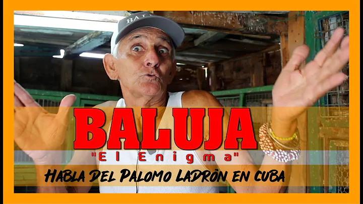 BALUJA, "El Enigma"  hablando del palomo ladrn en ...