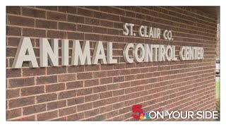 St. Clair County Animal Services needs your help to empty shelter ahead of possible flooding