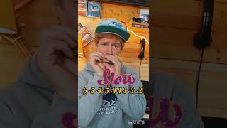 Learn This Blues Harmonica Lick bluesharp harmonica harmonicalessons