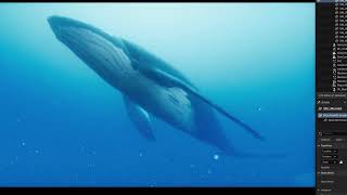 Humpback Whale Ocean Demo
