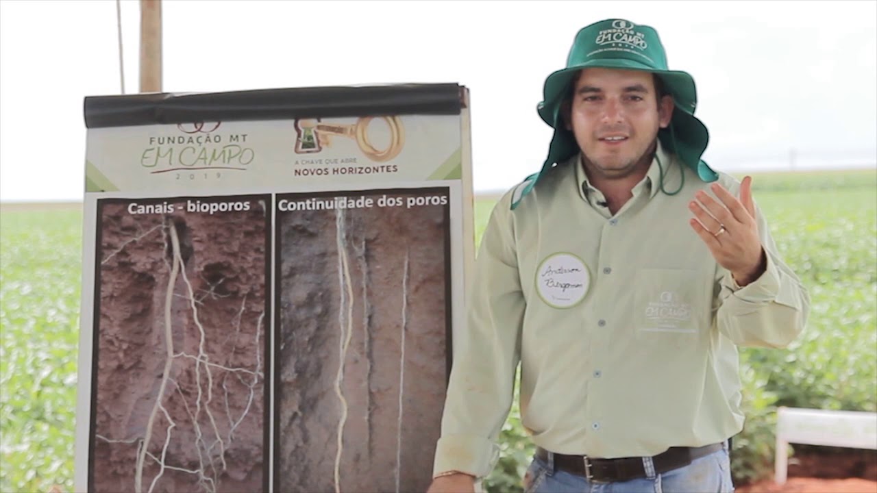 Dinâmica do crescimento de raízes e física do solo em Sistemas de Produção.