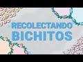 Recolectando Bichitos  | APRENDE JUGANDO