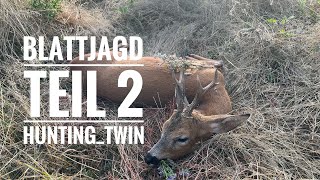 Blattjagd Tail 2 / Roebuckhunting / Mecklenburg-Vorpommern / hunting_twin