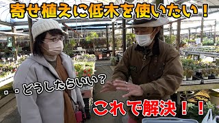 【教えてカーメン君】寄せ植えに使う植物がわかりません【カーメン君】【寄せ植え】【園芸】【ガーデニング】【初心者】