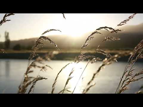 Doeke ~ Herfstblad (Autumn Leaf)