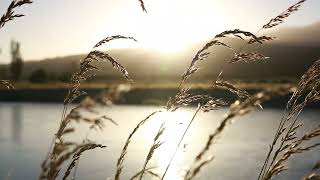 Doeke ~ Herfstblad (Autumn Leaf)