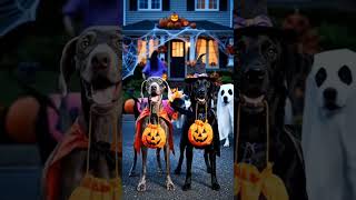 🎃 Barktober 🎃
