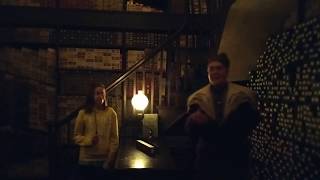 Guest Chosen For Wand At Olivanders