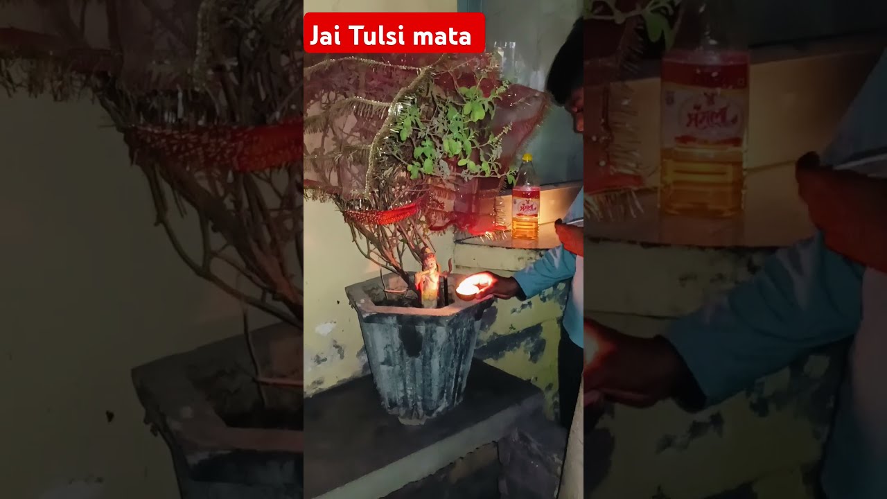 Tulsi M Deepak Jalane Ke Bhide Shortshorts
