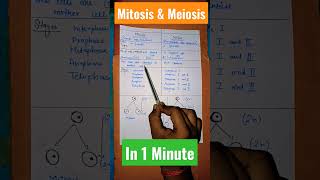 Mitosis and Meiosis | difference in 1 minute #celldivision #trending