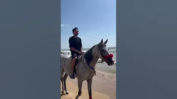 عدروب الورد امجد جمعه الإعلامي أيمن قمر أمجد جمعة حالات واتس 