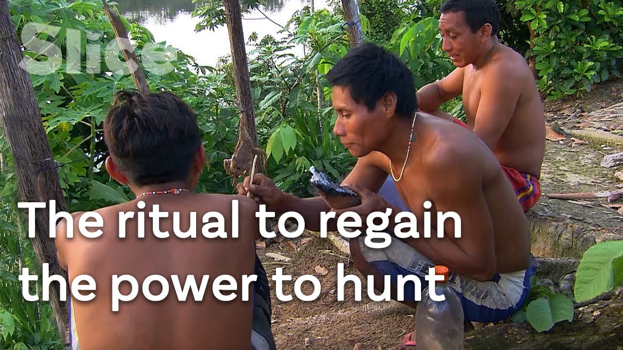 Documentary backdrop image for A day with the Mayoruna Indians (2022)