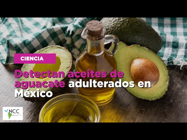 Detectan aceites de aguacate adulterados en México