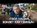 «Жирная свинья, старый осёл!»: Жириновского оскорбил экс-посол Азербайджана