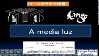 ホームカラオケ練習 A media luz (karaoke Japones ver.)