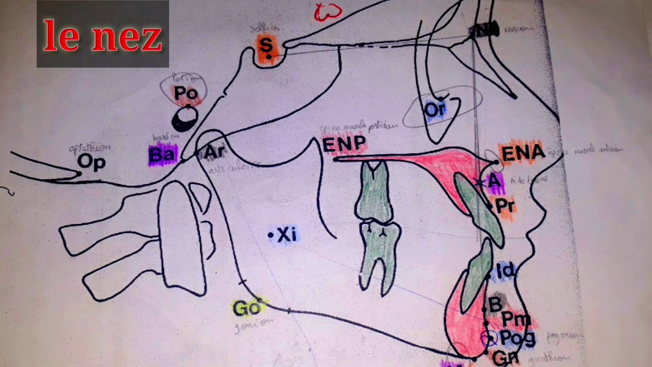 Mémorisez🧠🧠 tout les points de la céphalométrie en #odf