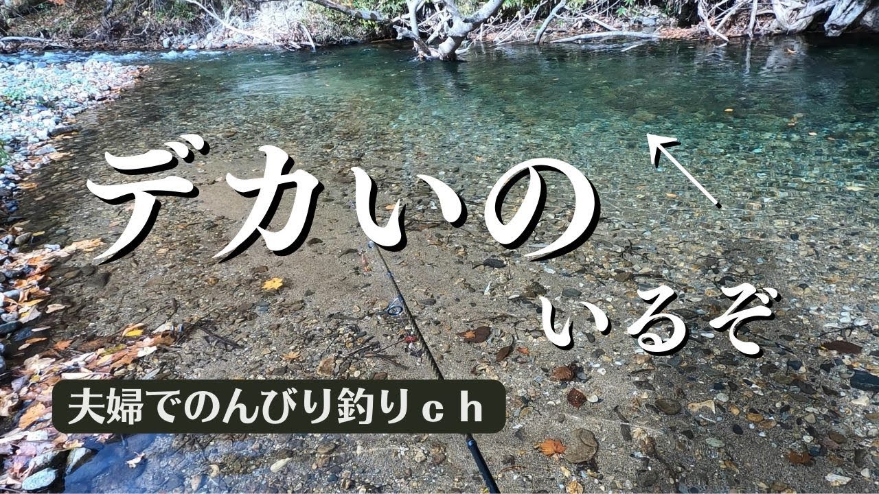 いい川見つけちゃった…。道南の新規開拓河川。