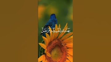 من سورة الإسراء { آية ١٣}