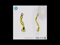 Posterior Cervical Lateral Mass Laminoplasty Graft Plate | Cervical Spine Implant | Biomedortho