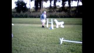 Oops Thomas Being Silly.wmv