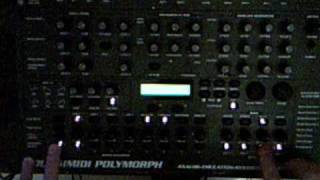 Quasimidi Polymorph Song : Kayal by Christoph chilliG