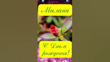 Милана поздравляем с днем рожденья 