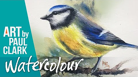 How to Paint a Blue Tit in Watercolour - Step-by-s...