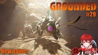Grounded 1.4 - สังหารราชินีมดทั้ง3 # ตอนที่29 (Co-op, เอาชีวิตรอด, โหมดยาก, Newgame+)