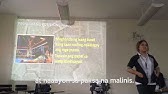 dacă penisul nu merită