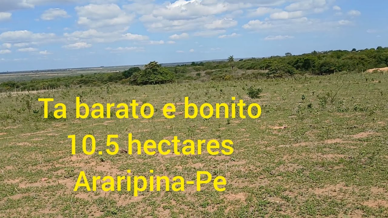 Povao aqui ta barato em. 85 mil. 87981363923