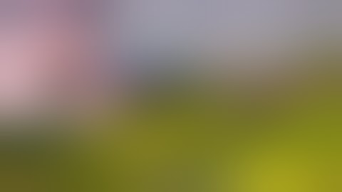 Surah #Hajj 022 Qari Abdurrahman Al sudais all Quraan سورة حج ٠٢٢ قارئ عبدالرحمن السديس