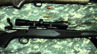 Comparing .54 cal muzzleloader and .243 Winchester
