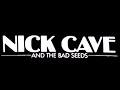 Capture de la vidéo Nick Cave And The Bad Seeds - Live In Utrecht 1984 [Full Concert]